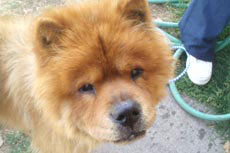 Riley