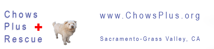 Chows Plus + Rescue, Sacramento, CA