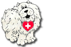 Chows Plus