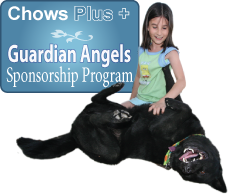 Can You Help Us Save A Dog's Life?