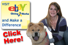 Support Chows Plus Rescue Dogs!