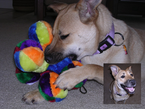 Belinda with her toy!