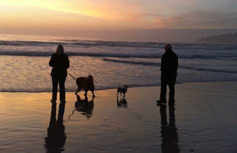 Duchess at the beach!