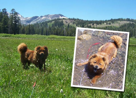 Korah and Lauren in Grass Valley, CA!